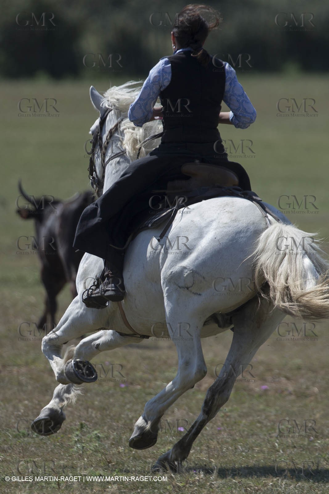 Course de Satin 2014 - Arles (FRA,13) - 1 06 2014**The satin race - Arles (FRA,13) - 01 06 2014