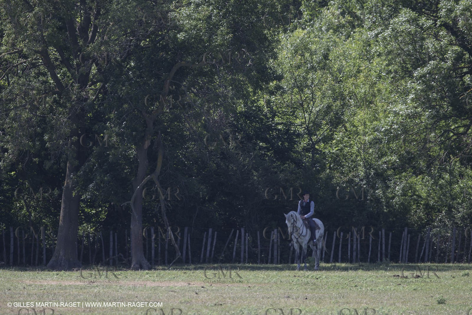 Course de Satin 2014 - Arles (FRA,13) - 1 06 2014**The satin race - Arles (FRA,13) - 01 06 2014
