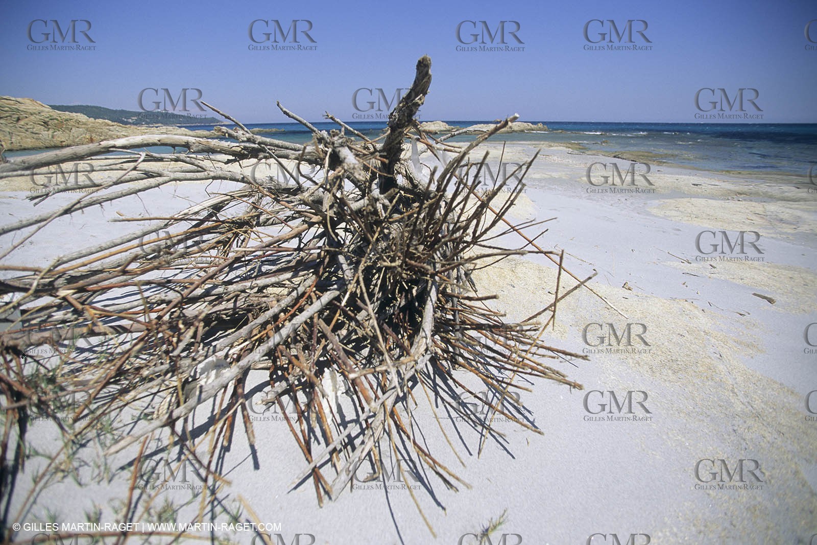 France, Provence, Côte d'Azur, littoral var, Cap Taillat