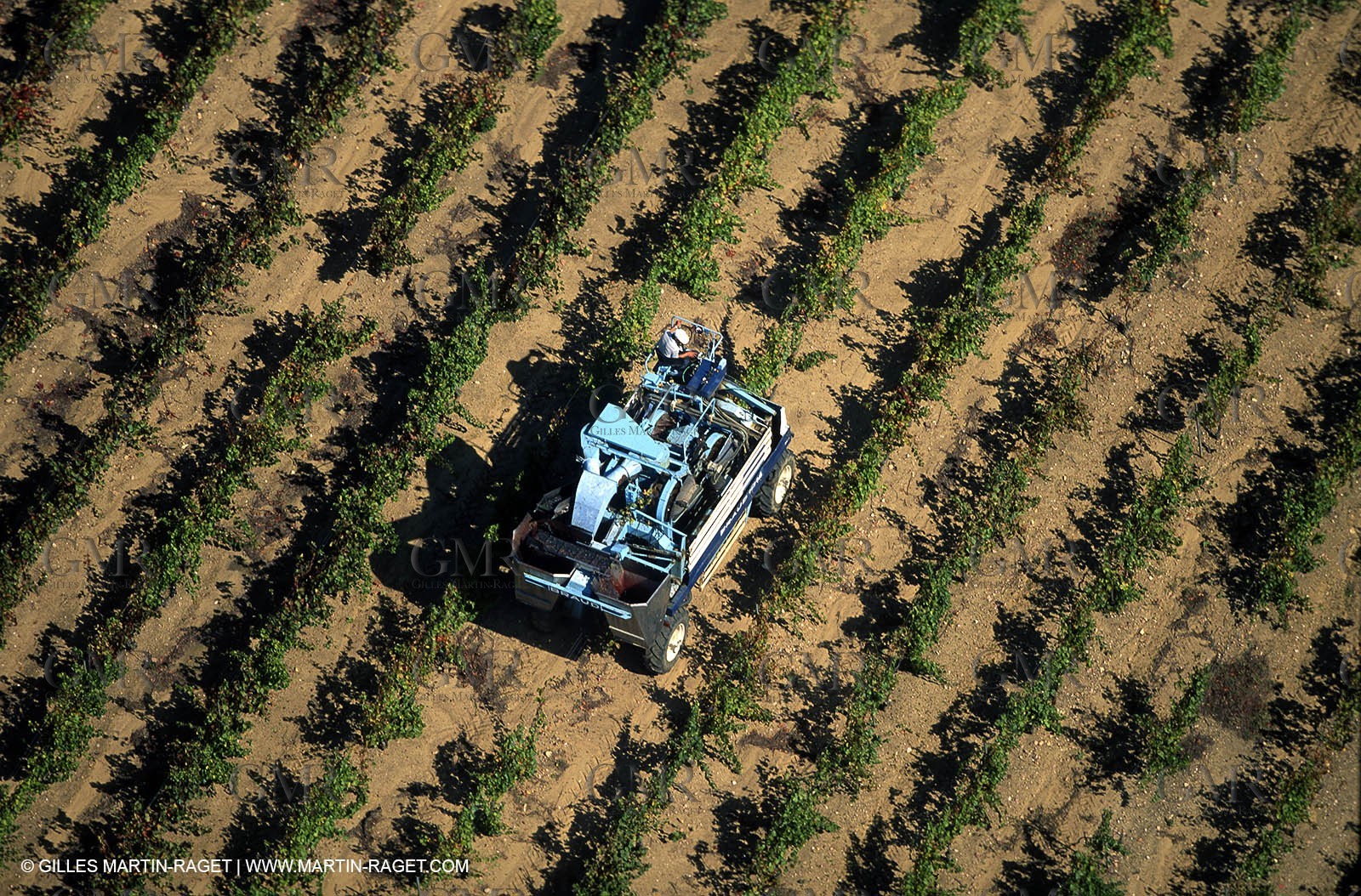 Provence, Harvest time