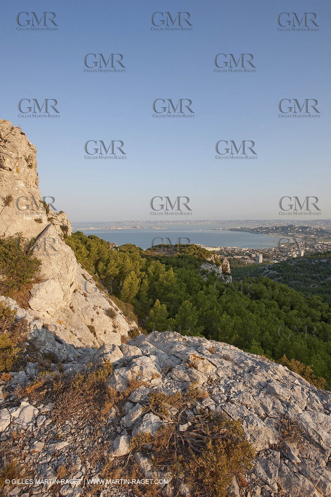 29 07 2009 - Marseille (FRA, 13) - Les Calanques - Massif de Marseilleveyre - Bois de la Selle
