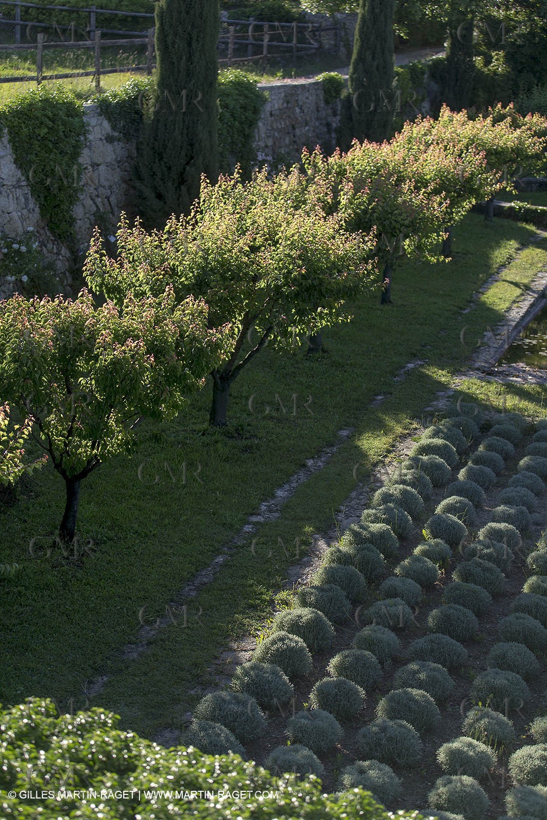 Domaine de la Baume - Tourtour (FRA,83) - 15 05 2014