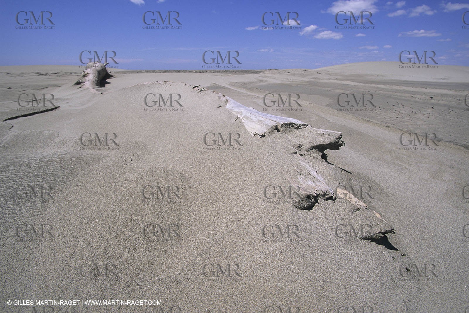 France, Provence, Camargue, Nature, plage, sable