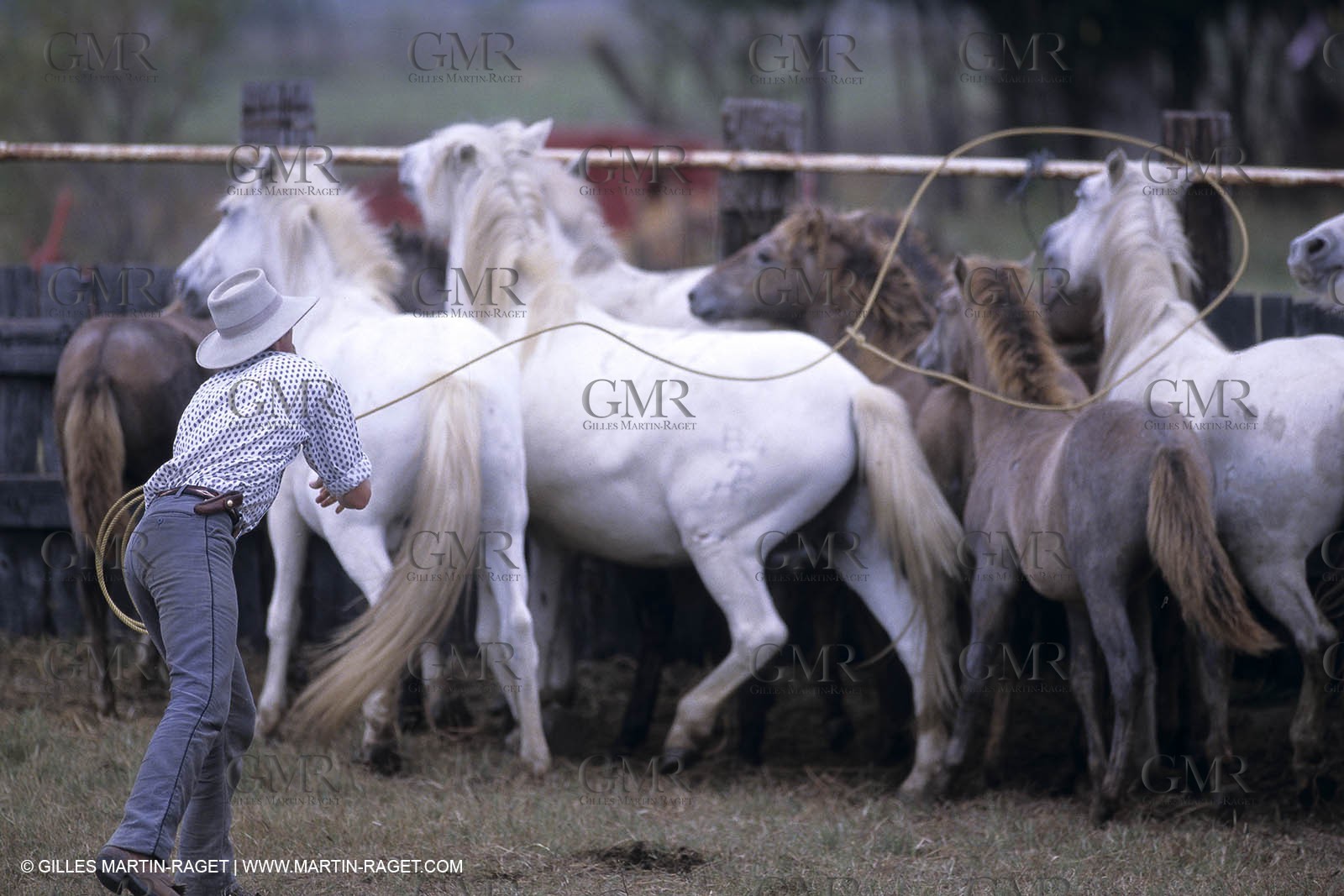 Camargue (FRA,13) - Gardians