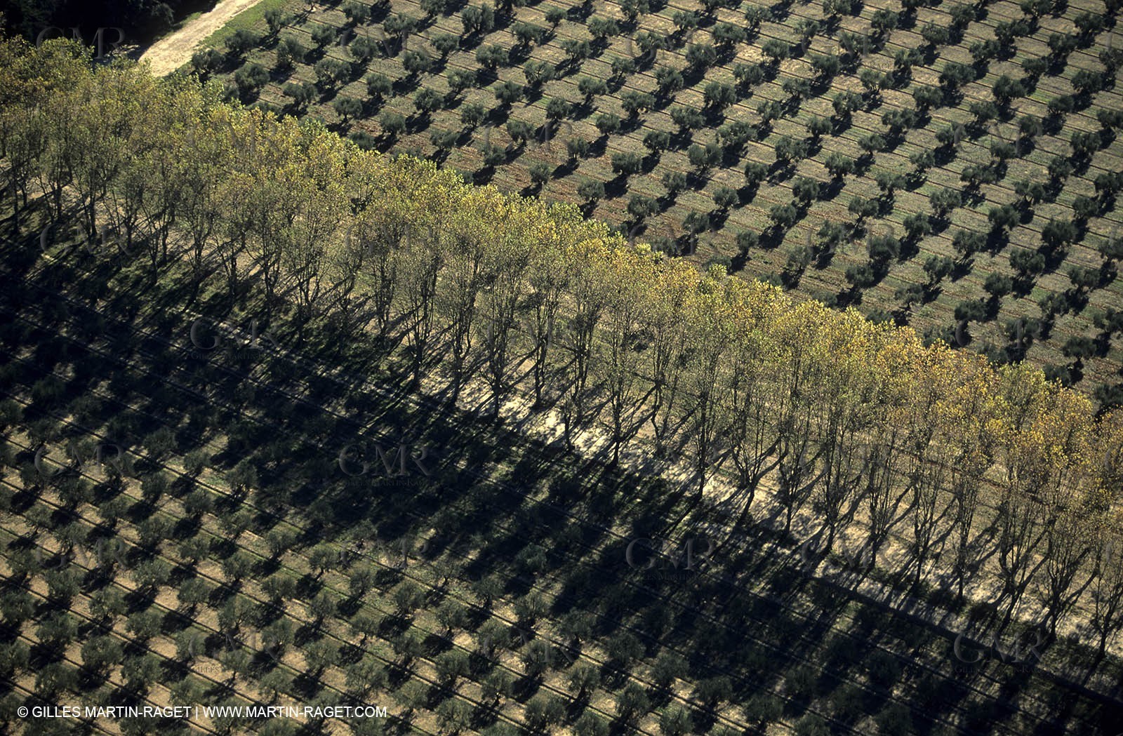 Agriculture near Eguières