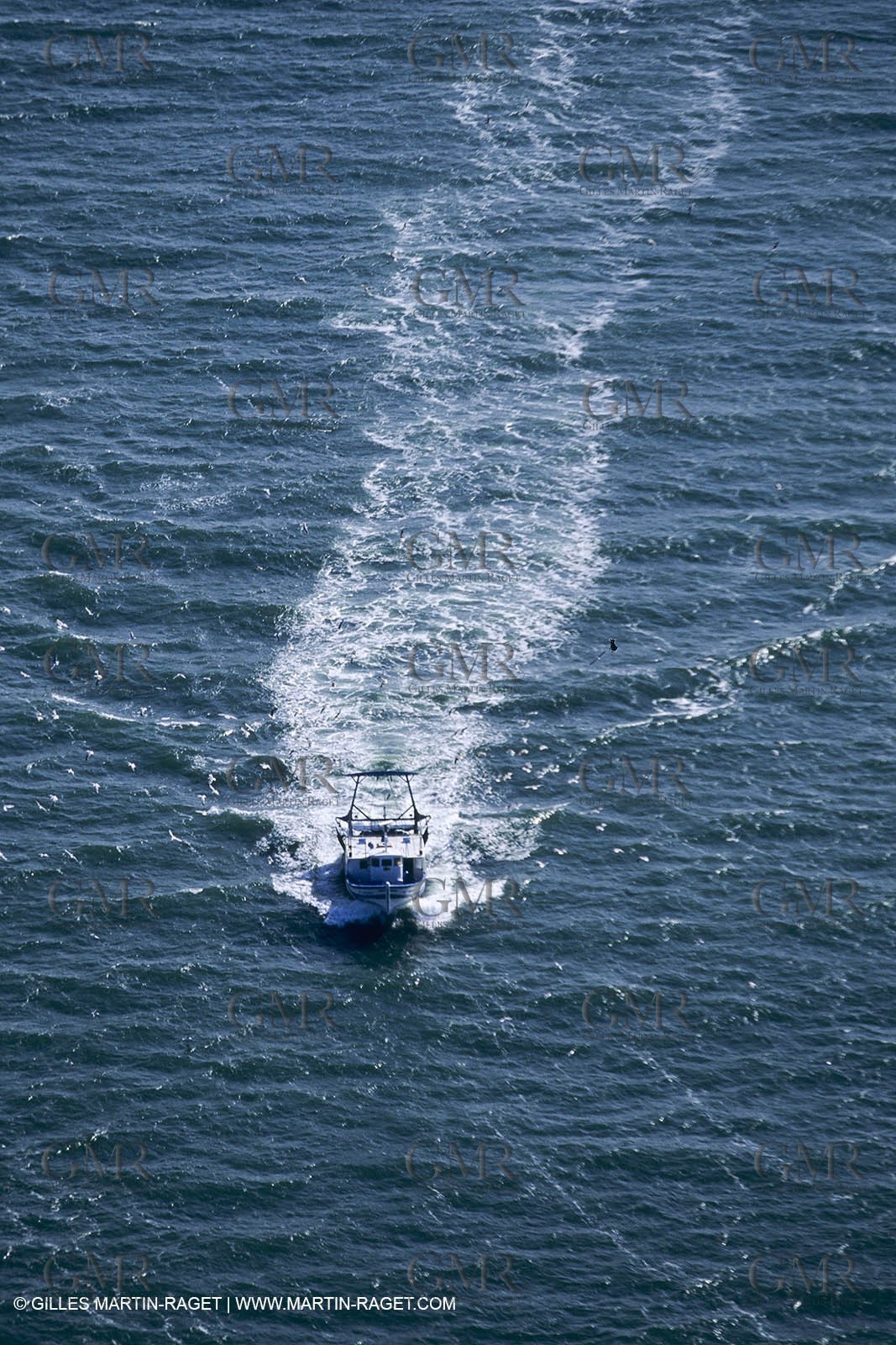 Monde maritime, Pêche, pêcheurs, bateaux de pêche, Marine world, fishing, fishermen, fishing boats