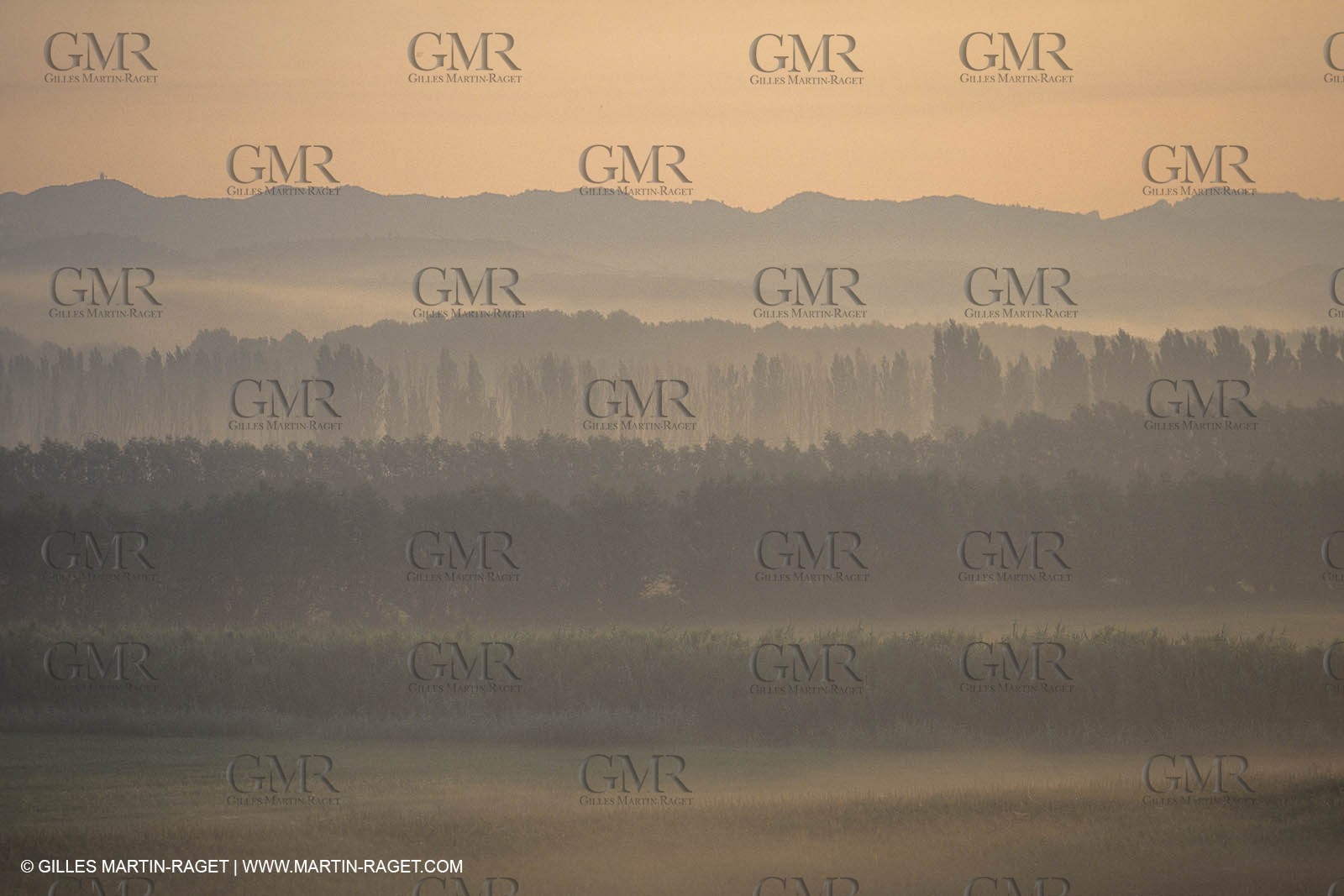 France, south, Alpilles landscapes