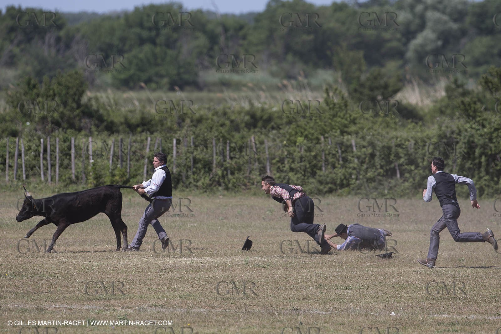 Course de Satin 2014 - Arles (FRA,13) - 1 06 2014**The satin race - Arles (FRA,13) - 01 06 2014