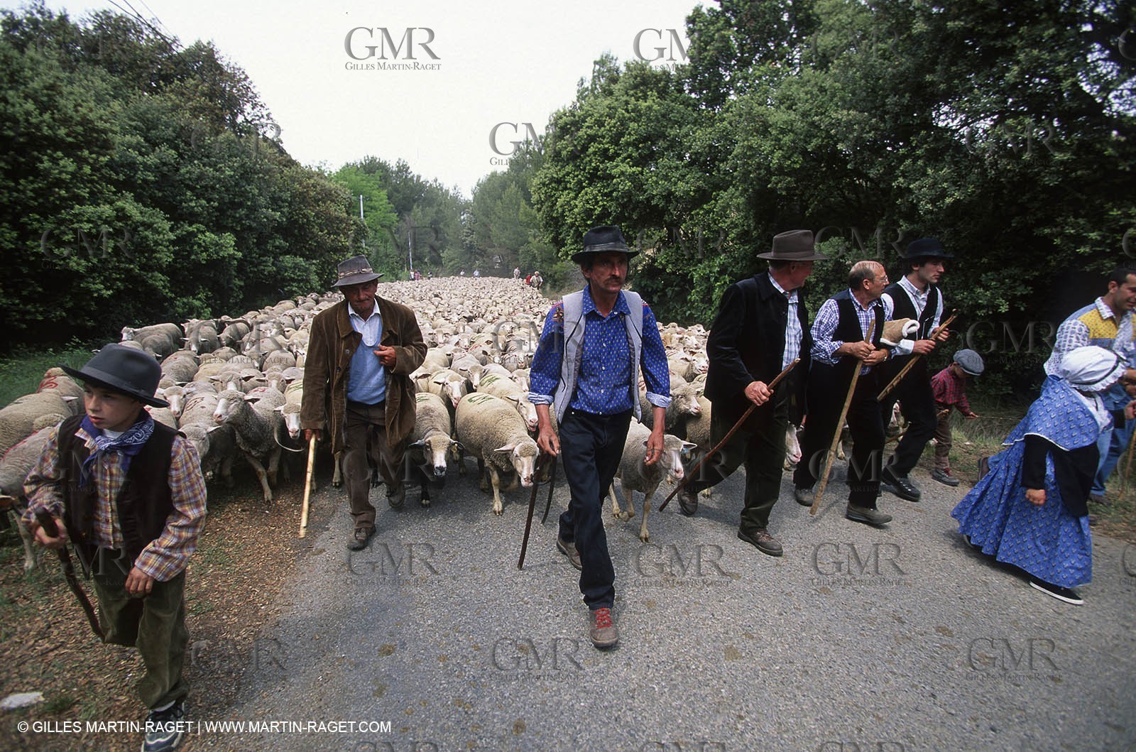 Saint Rémy de Provence (FRA,13) - Sheep stocks migration Fest