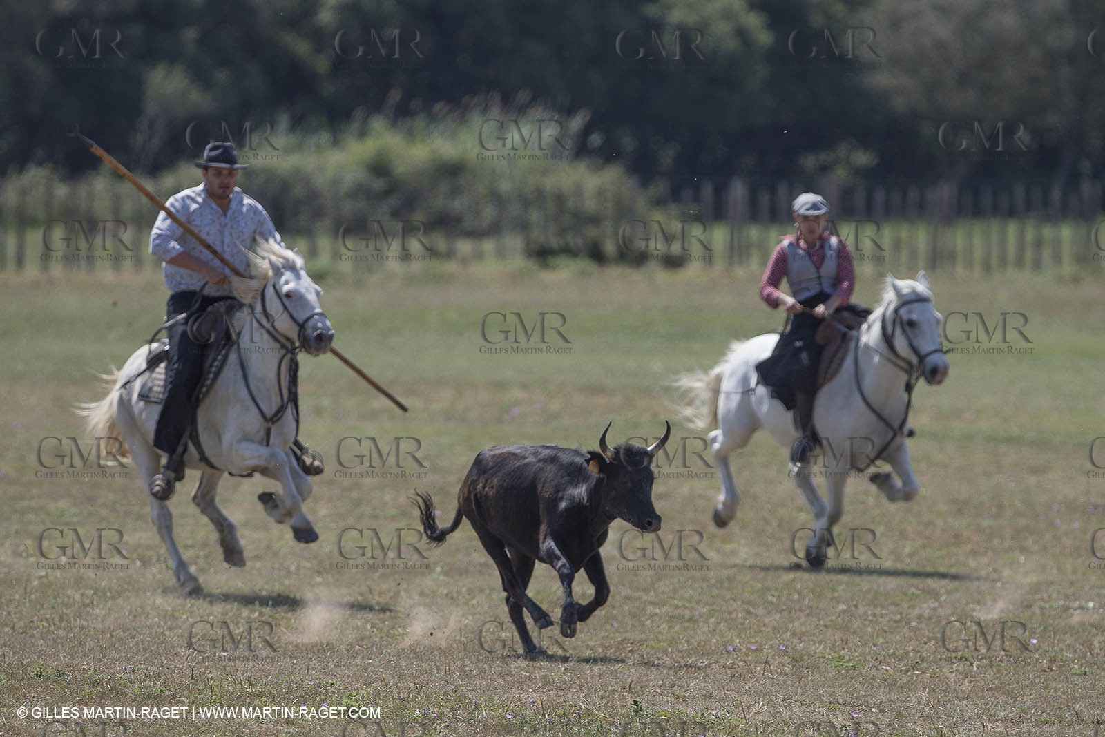 Course de Satin 2014 - Arles (FRA,13) - 1 06 2014**The satin race - Arles (FRA,13) - 01 06 2014