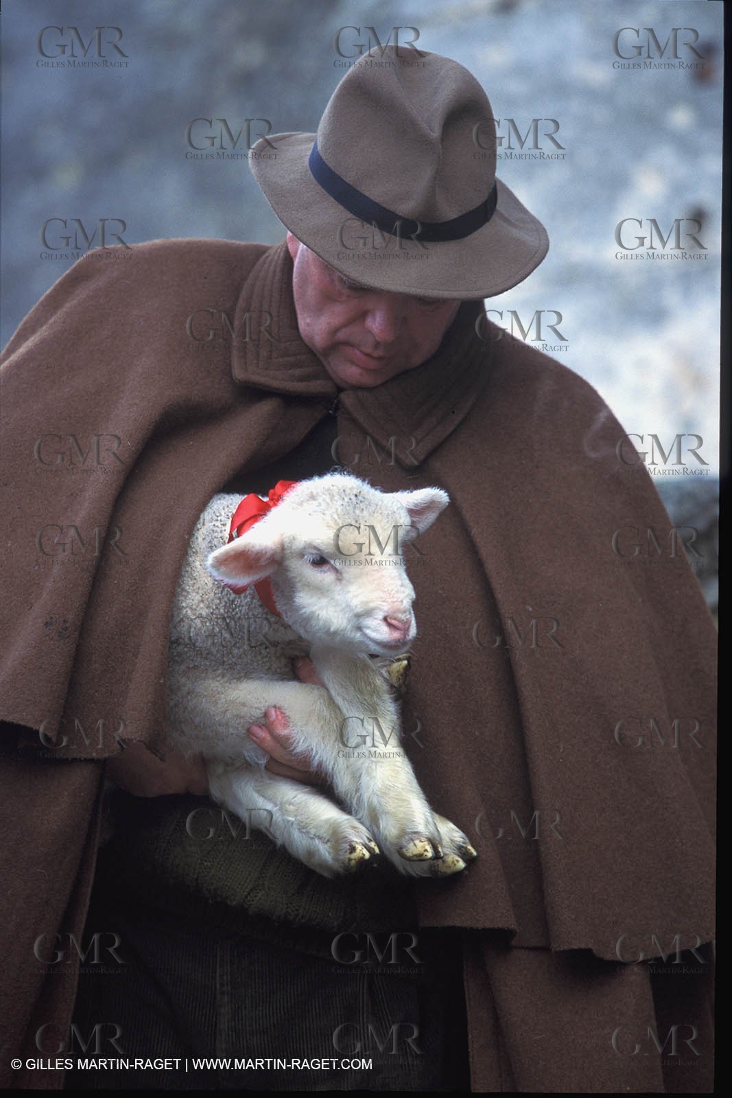 Sheeps - shepherds