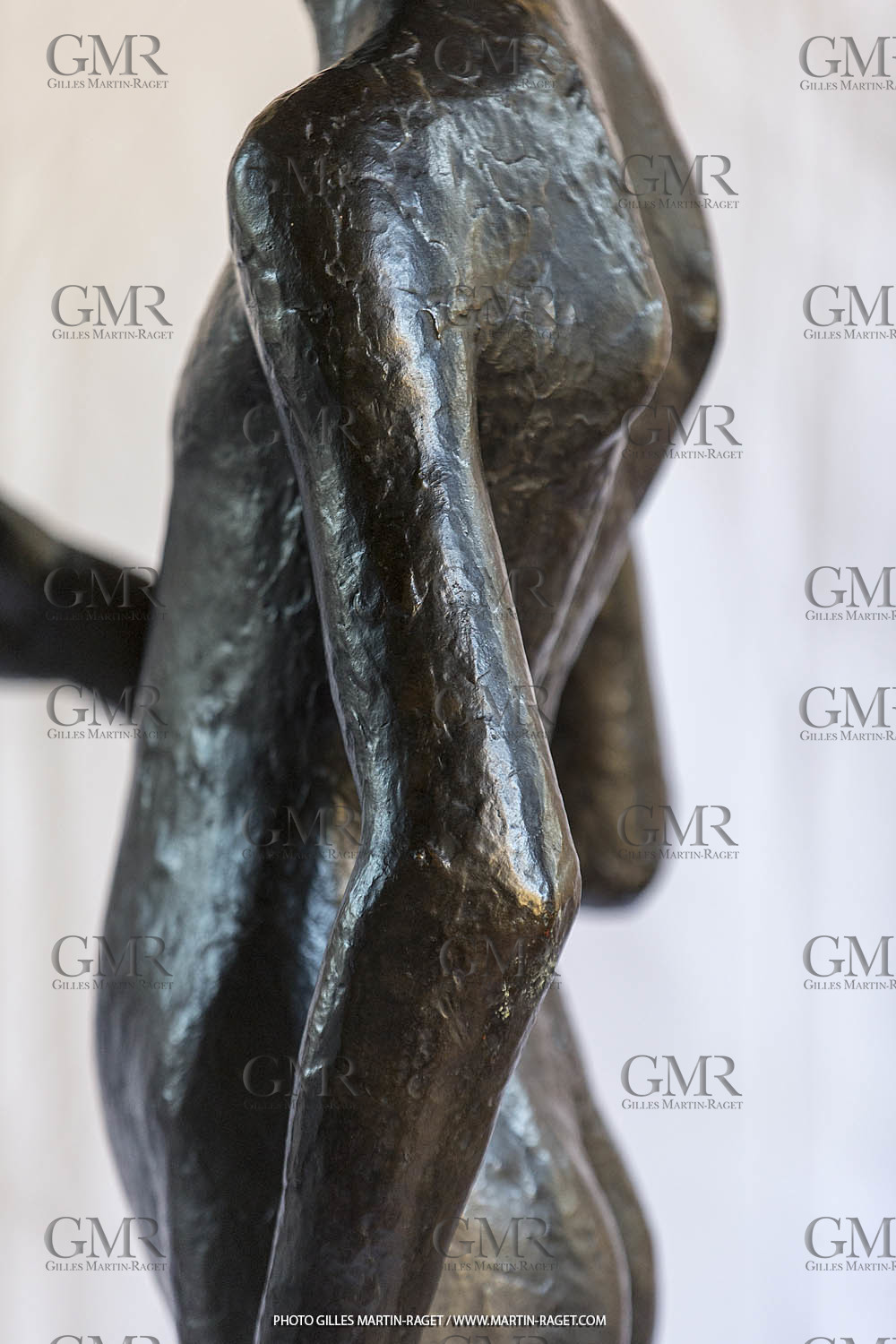 06 03 2016, Saint-Etienne du Grès (FRA,13), Oeuvre de Germaine Richier, Loretto I 1934, Bronze patiné foncé, Numéroté 4 6, fondeur Susse, Paris, 160 x 52 x 35 cm, Collection particulière