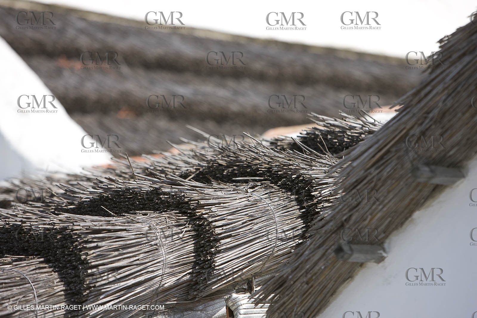 01 07 2008 - Les Saintes Maries de la mer (FRA, 13) - gardians cants