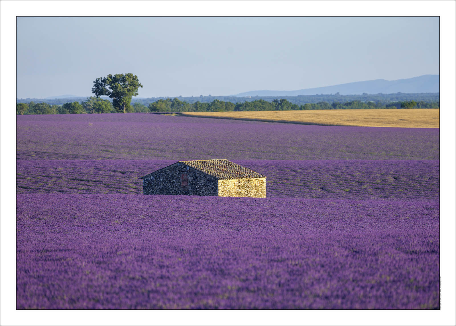 Product: in house made quality print on 8 ultrachome colors Epson ink Jet printer.Available sizes: . 20x30 cm. 30x40 cm. 50x70 cm. 80x120 cmAvailable papers: . Standard 250 gr glossy paper print, black streak, white margin, no signature. Top quality glossy 290 gr. paper, black streak, white margin, checked and signed by the author. Fine Art print (signed, numbered, stamped, registered) on demand. Other supports (Canvas, Acrylic, Metal) on demandPackaging: cylindric reinforced tubeShipping options: regular mail or Shipping companyClick on the basket icon to select your options and start the online ordering process