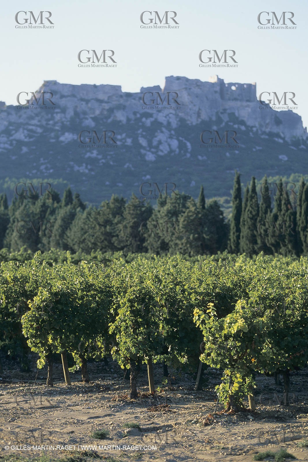 Vin, Vigne , Vendanges, vignification, vignobles, France, Provence, Côte du Rhône, Rosé