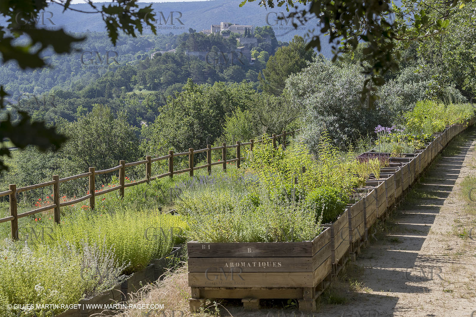 22 06 2018, Ménerbes (FRA,84), Domaine de la Citadelle, Jardin Botanique