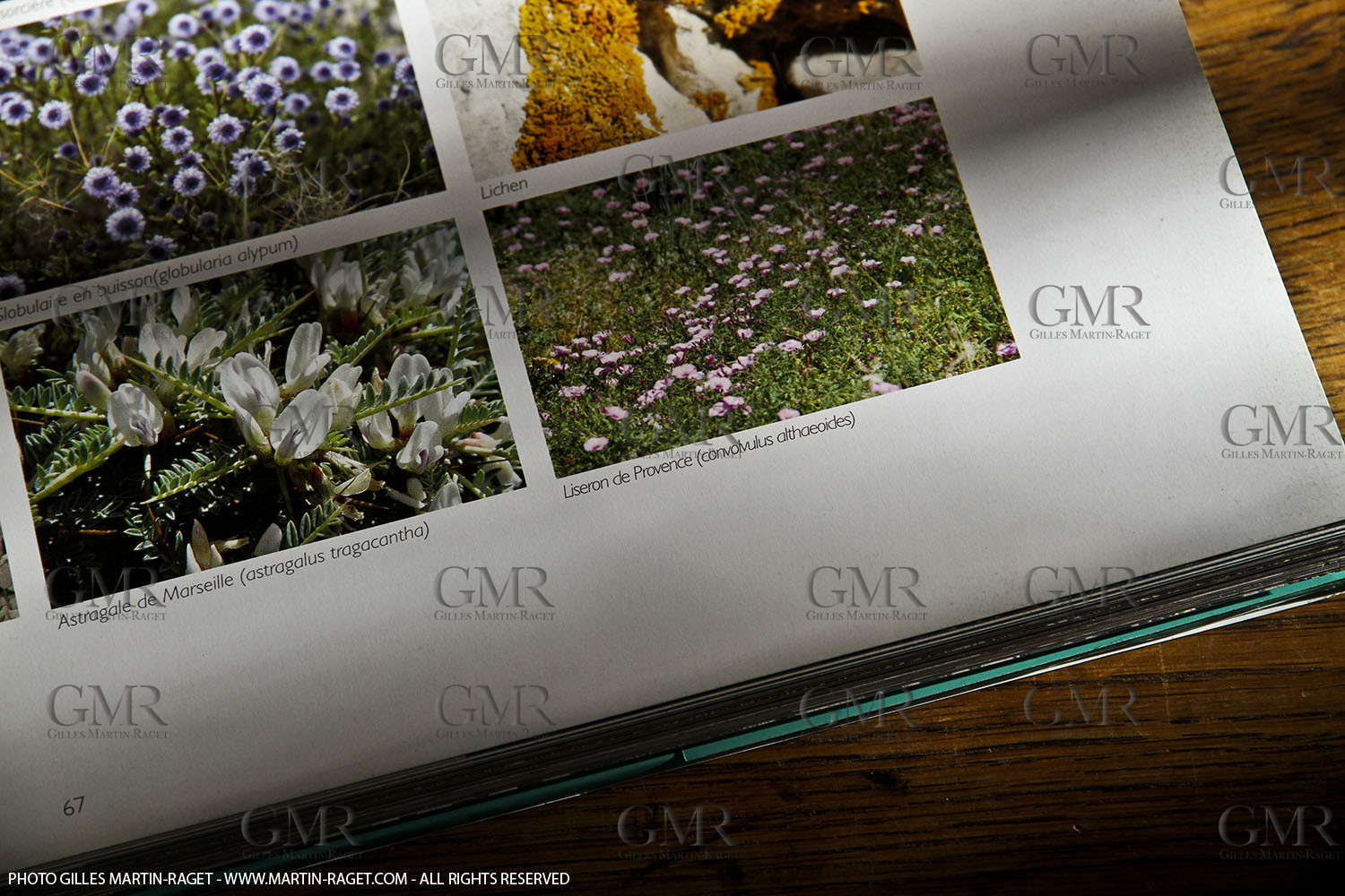 09 11 2010 - Marseille (FRA,13) - Photos odf the book Calanques, Si proches, si lointaines, Ed. Cres, Words by Juliette Lembot, Photos by Gilles Martin-Raget