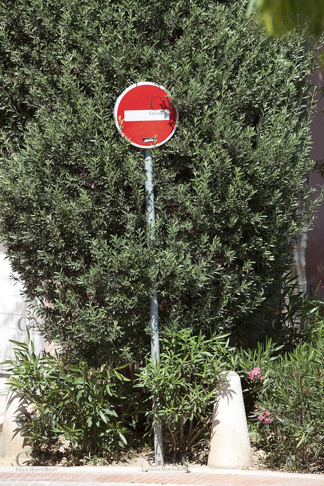 19 07 2009 - Sanary sur mer (FRA,83)