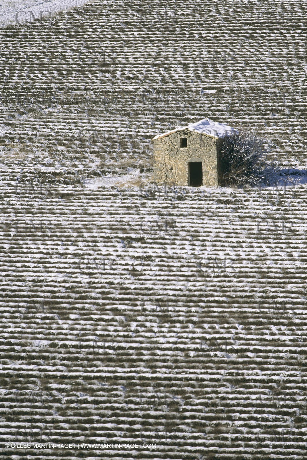France, Provence, Neige en hiver   Snow in Provence