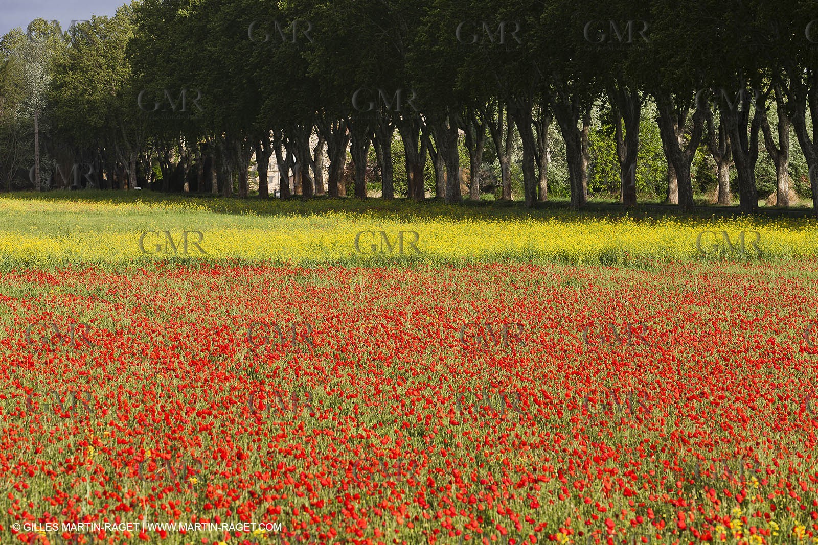 29 04 2012 ( Saint Rémy de Provence (FRA, 13) - Chaîne des Alpilles vers Romanin