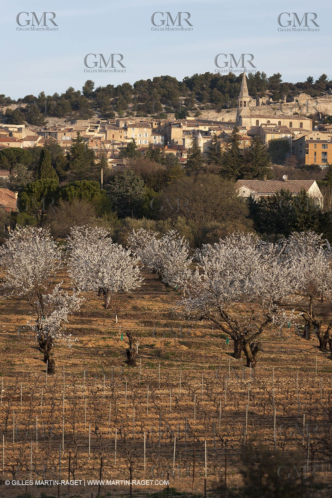 March 30th 2012 - Saint Saturnin les Apt (FRA, 84) - blooming cherry trees