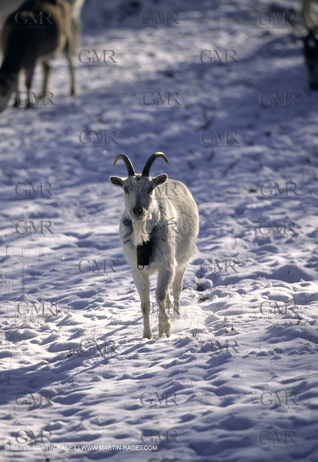 Provence under snow