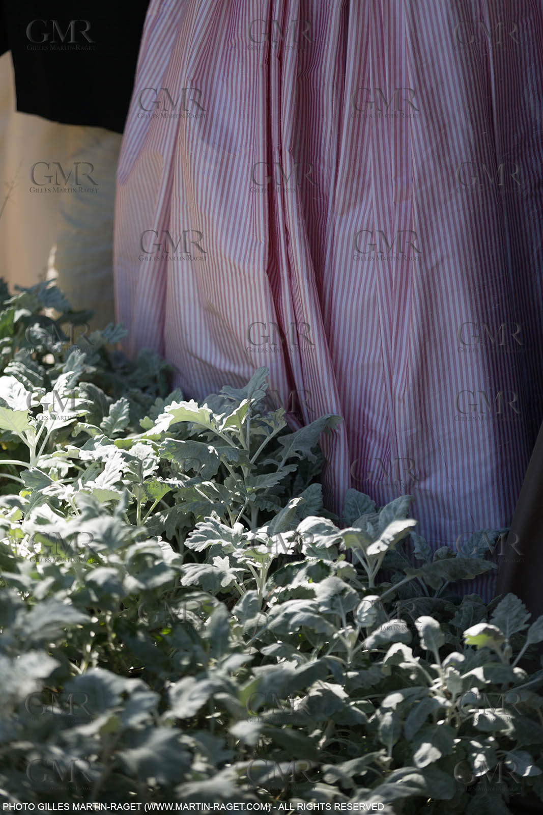 03 07 2016, Arles (FRA,13) Fête du Costume