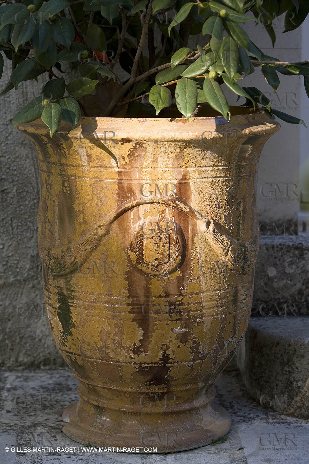 28 10 2007 - St Rémy de Provence (FRA,13) - Chateau des Alpilles