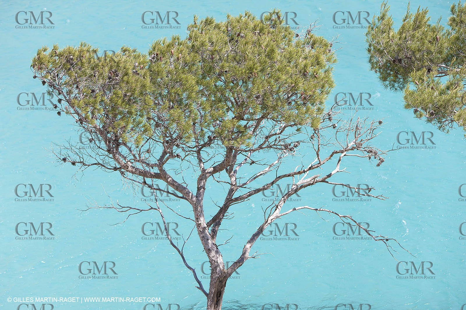 27 05 2009 - Marseille (FRA, 13) - Les Calanques - Sormiou