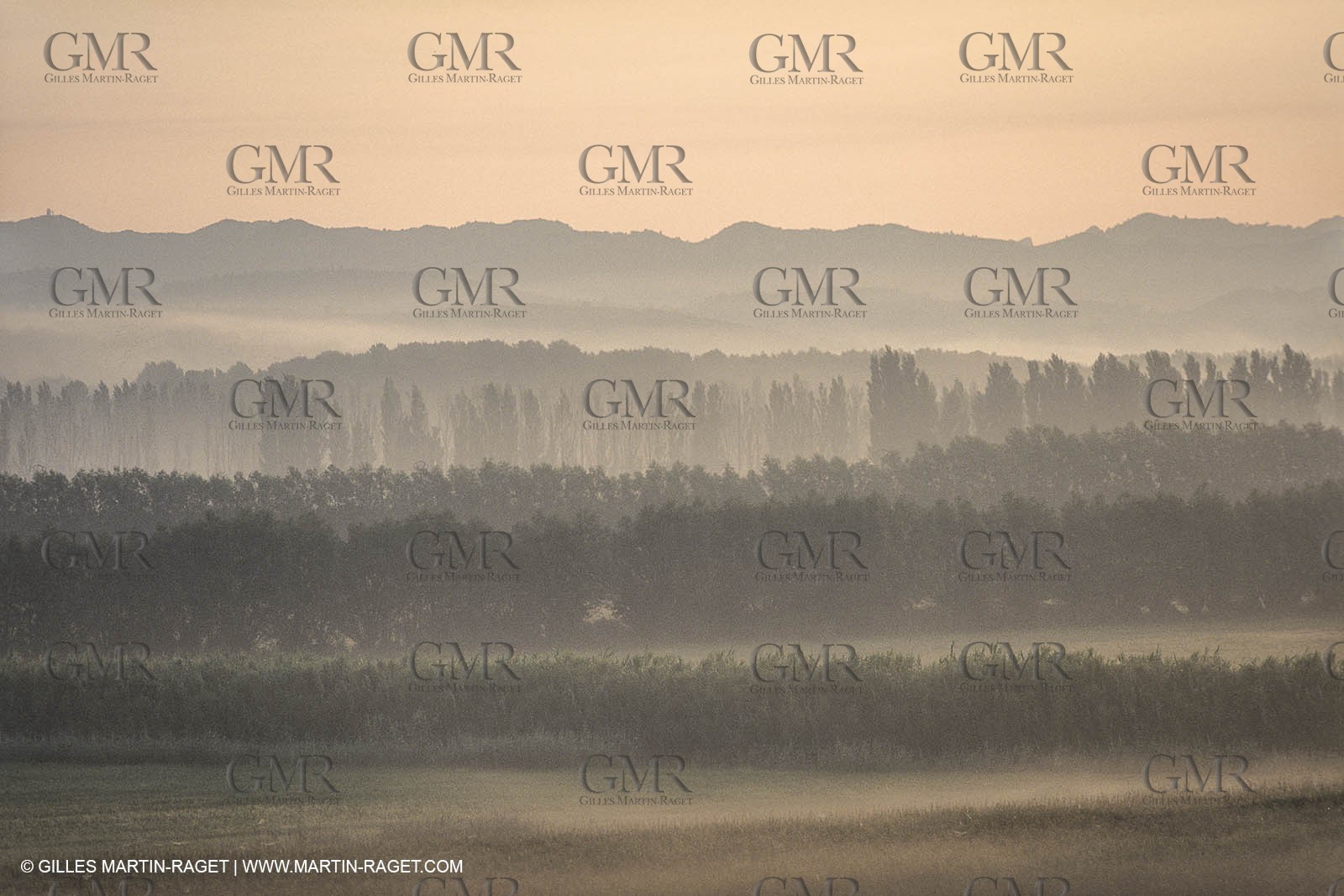 France, Provence, paysage des Alpilles, Alpilles landscapes