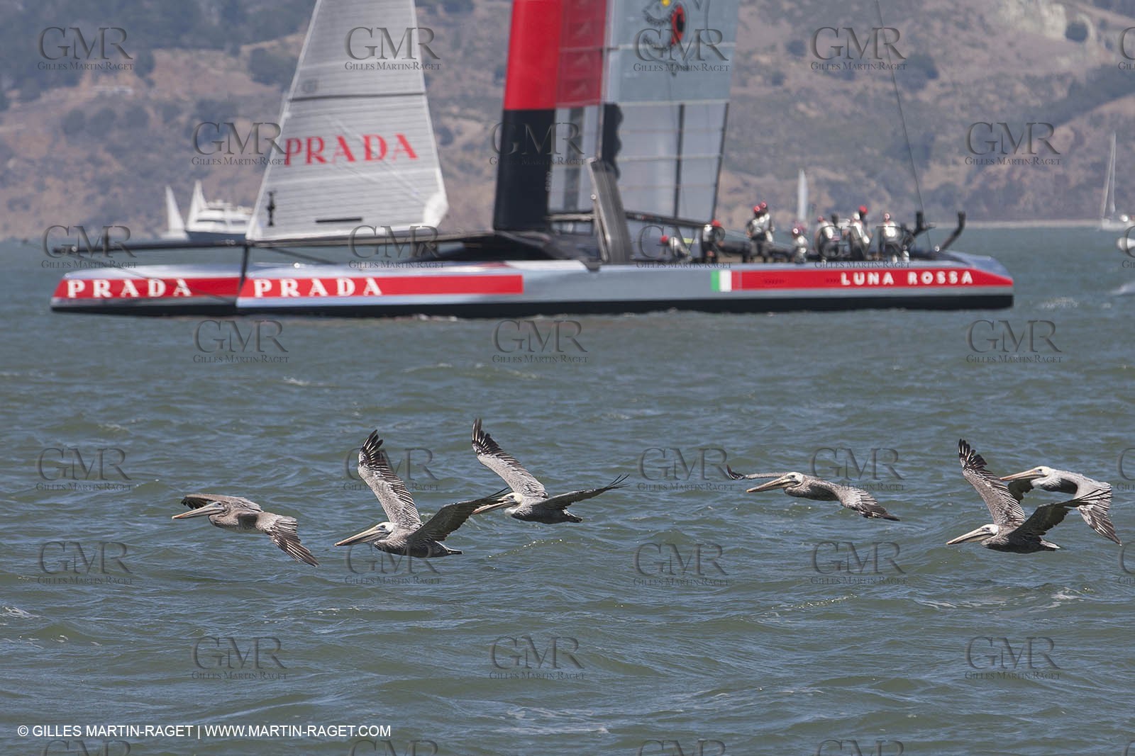 24 08 2013 - San Francisco (USA,CA) - 34th America's Cup - Louis Vuitton Cup Final, Day 6, Emirates Team New Zealand Vs Luna Rossa