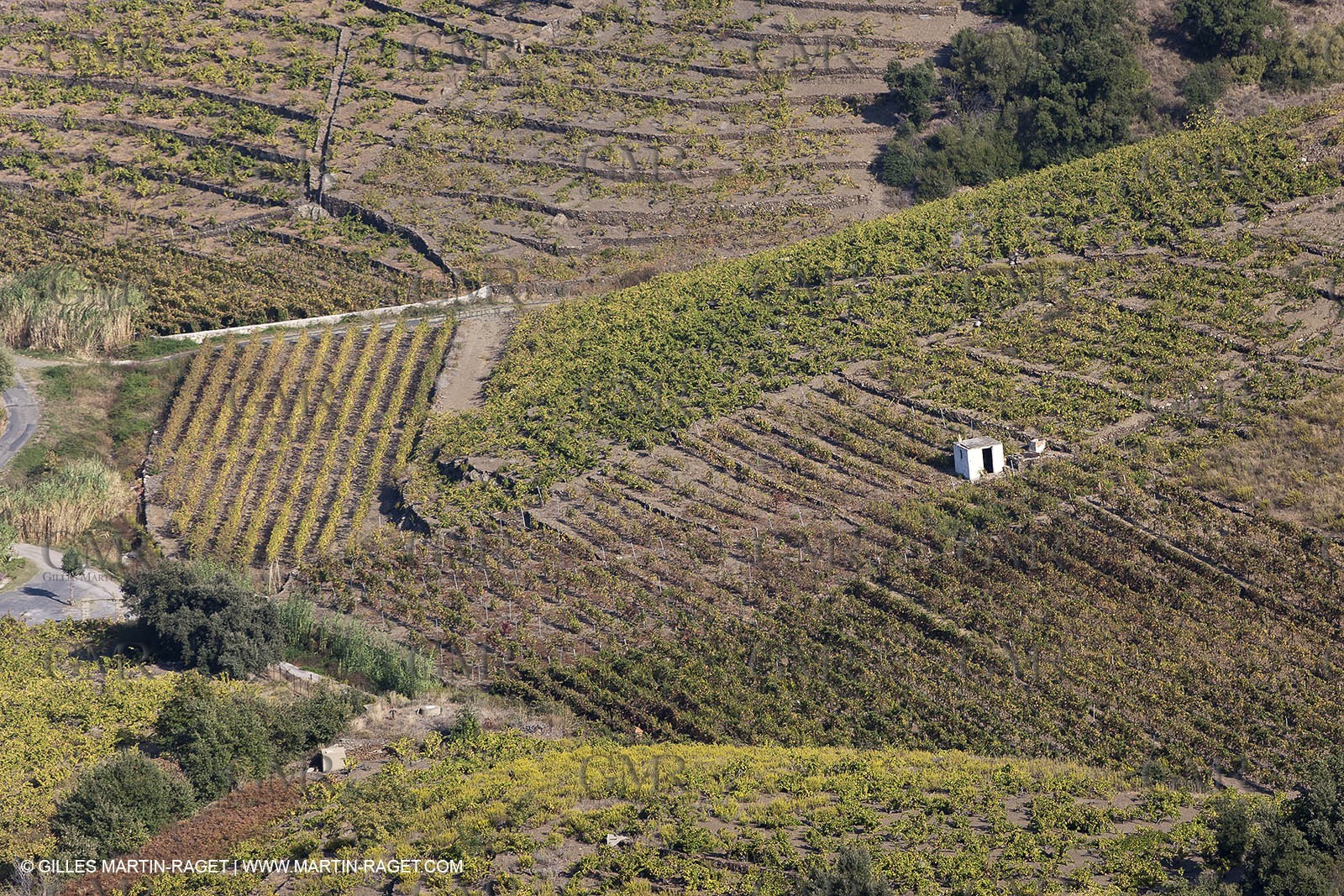 17 10 2011 - Vermeille Coast (FRA, 66) - Corbières Vineyards