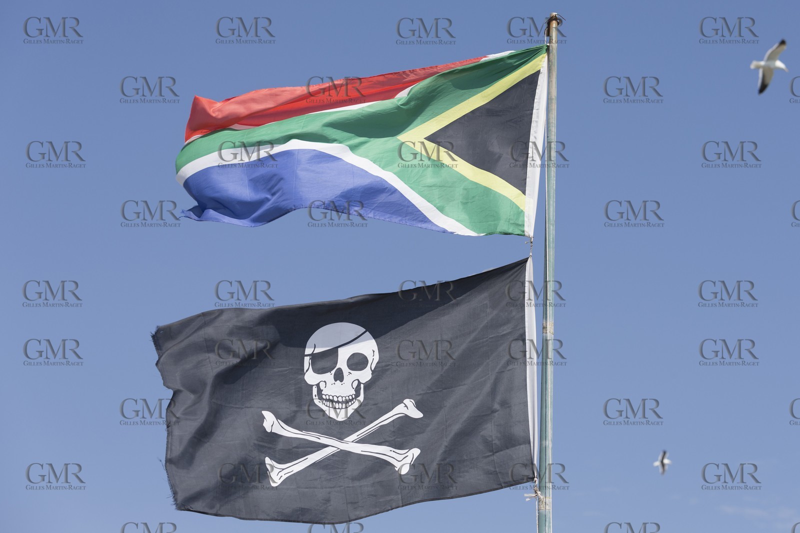 10 11 2014, Capetown (ZAF), Volvo Ocean Race 2014-15, Team Alvimedica