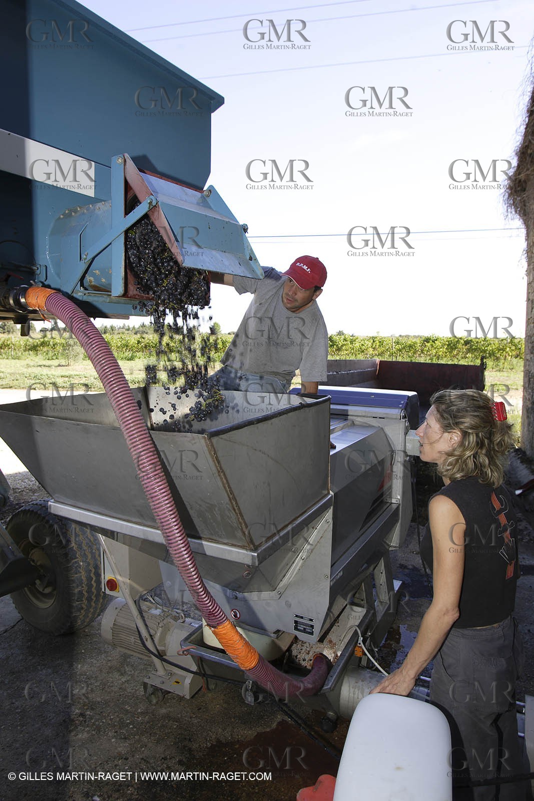 Harvest - D'or et de Gueule castle