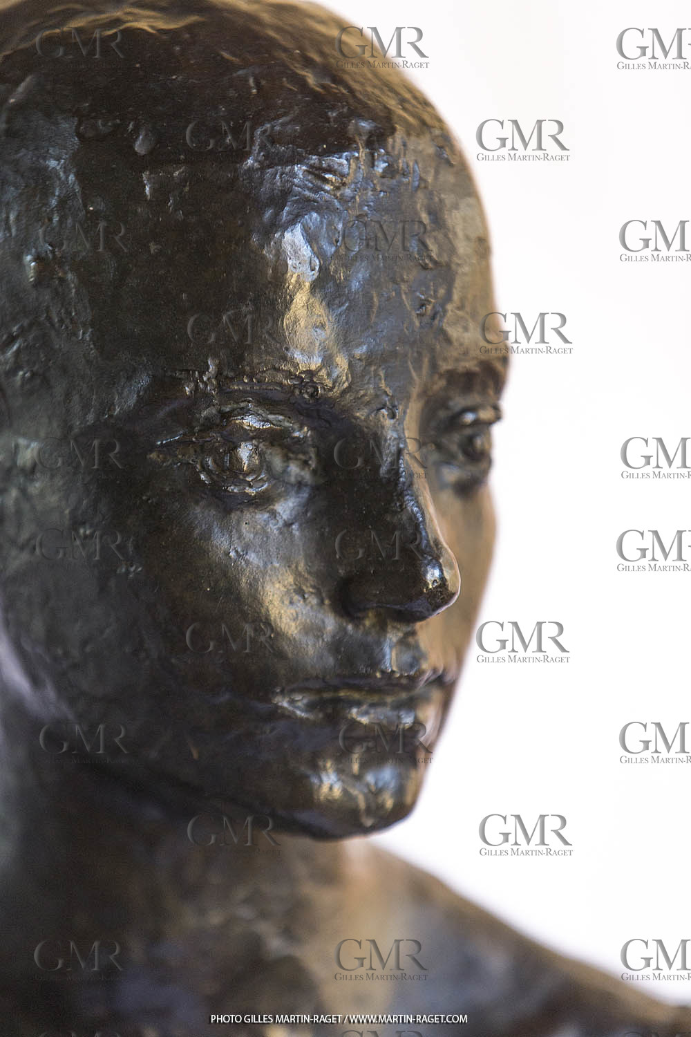 06 03 2016, Saint-Etienne du Grès (FRA,13), Oeuvre de Germaine Richier, Loretto I 1934, Bronze patiné foncé, Numéroté 4 6, fondeur Susse, Paris, 160 x 52 x 35 cm, Collection particulière