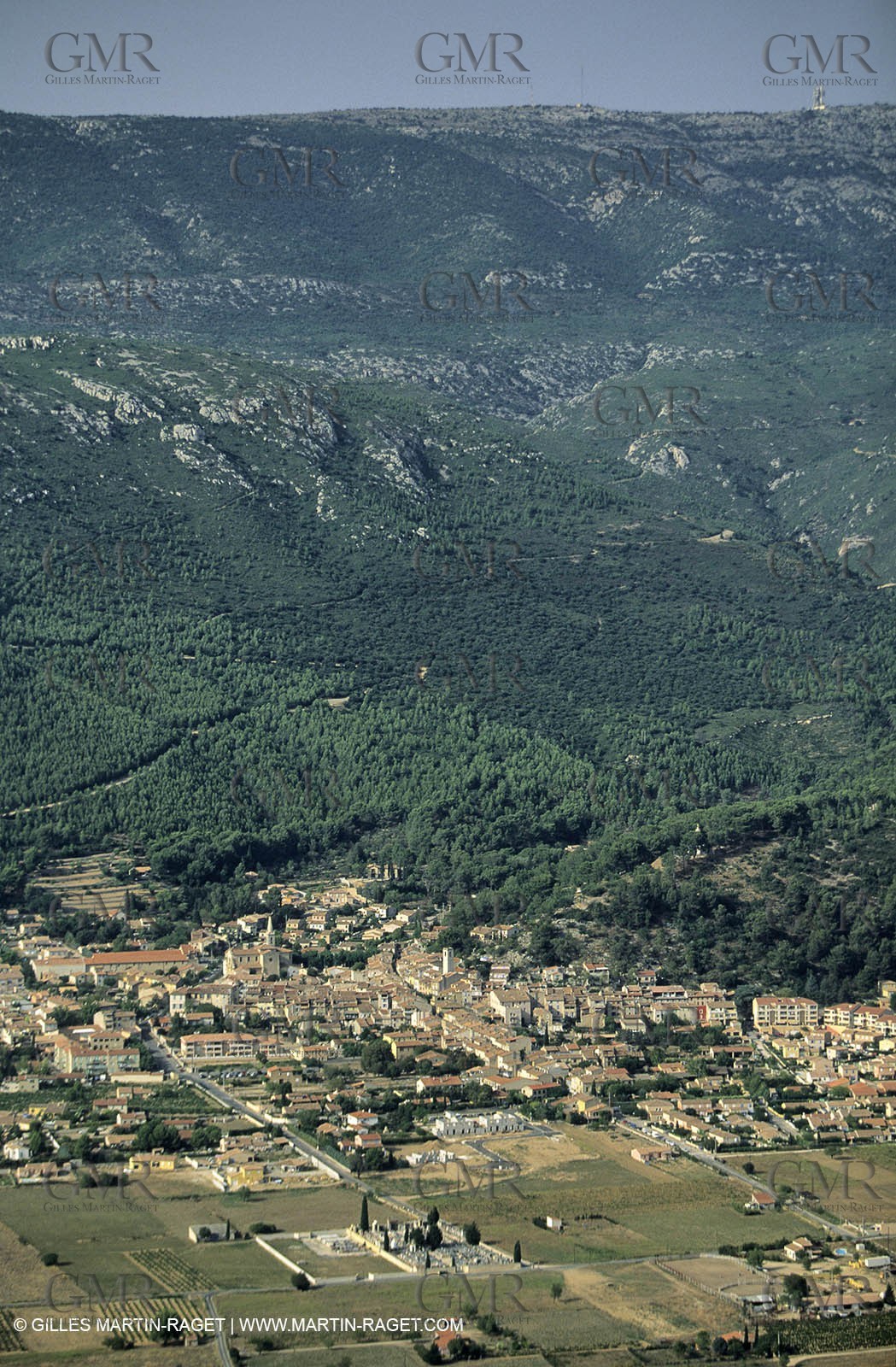Cuge les pins