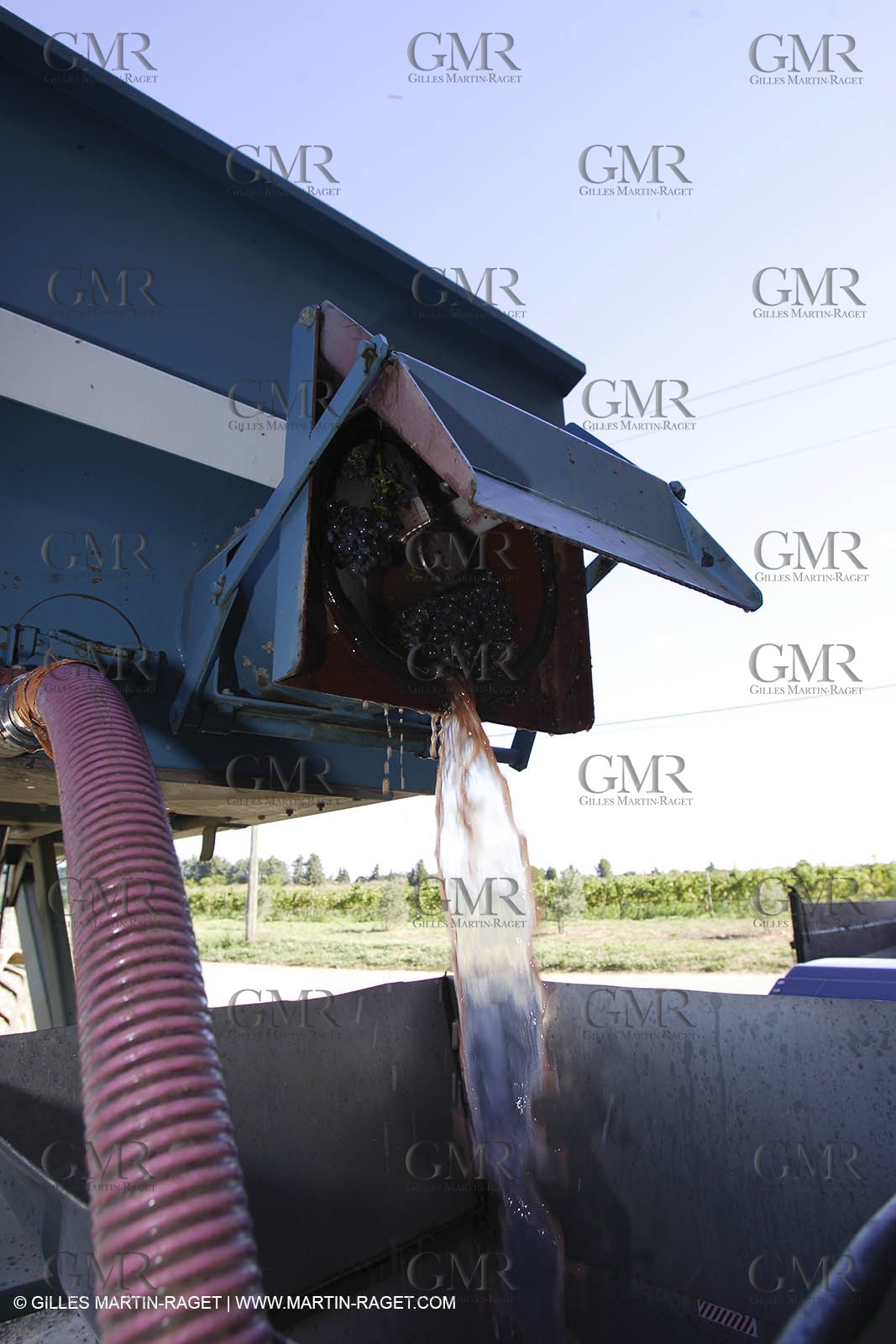 Harvest - D'or et de Gueule castle