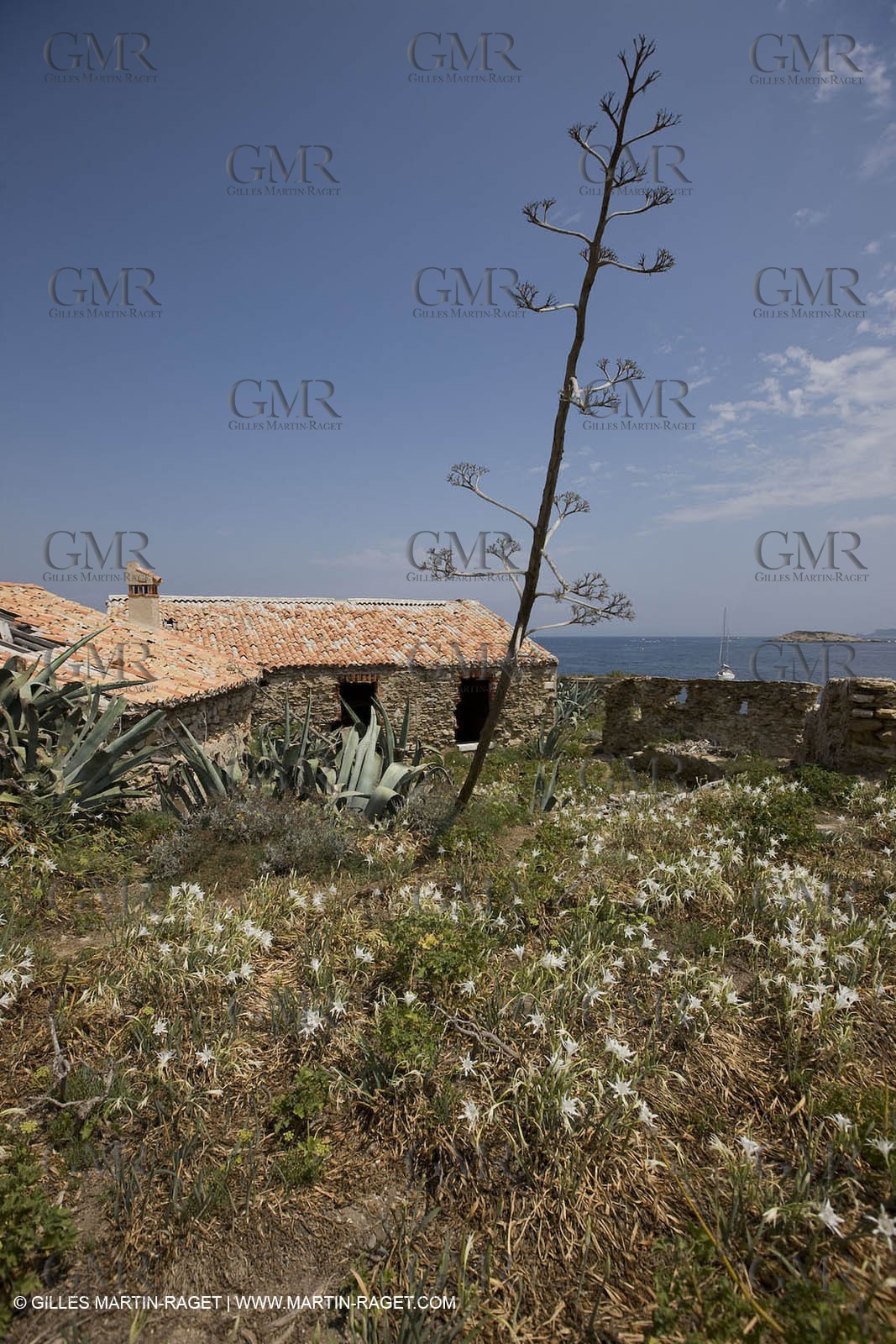 26 07 2008 - Porquerolles Island (FRA,83) - Langoustier fortress
