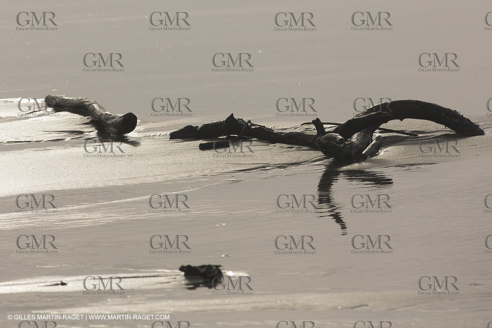 25 12 2013 - Les Saintes Maries de la Mer (FRA,13) - Tempête hivernale