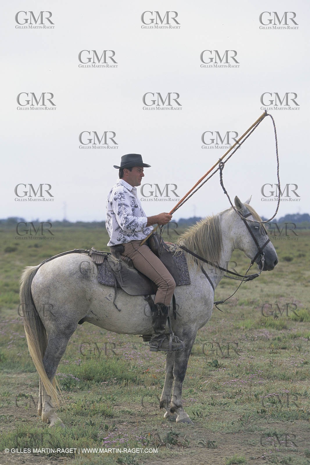 France, Provence, Camargue, Gardians de Camargue, métier, fêtes, élevage, tri