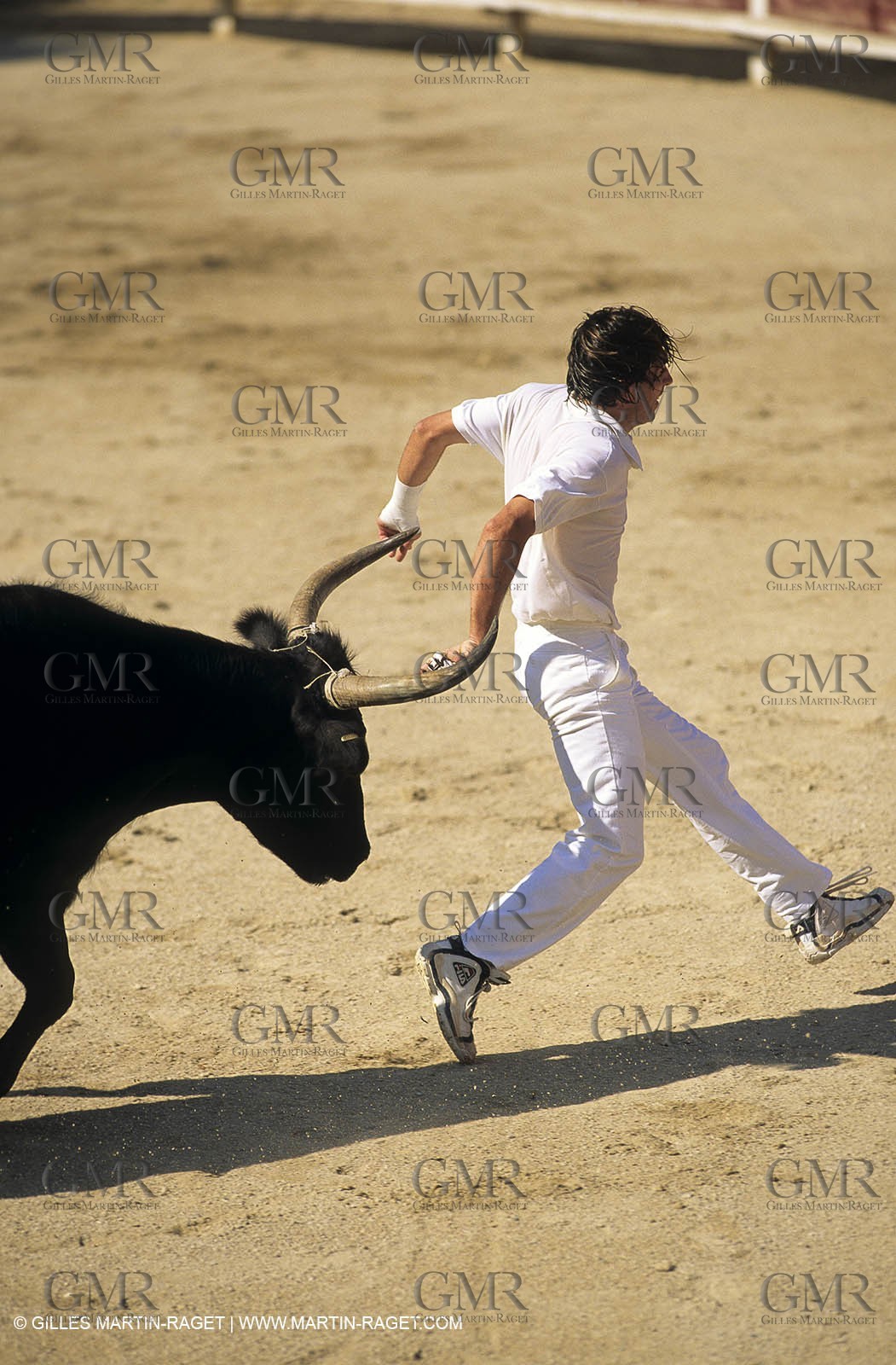 Gard, (FRA,30) - Camargue bull game