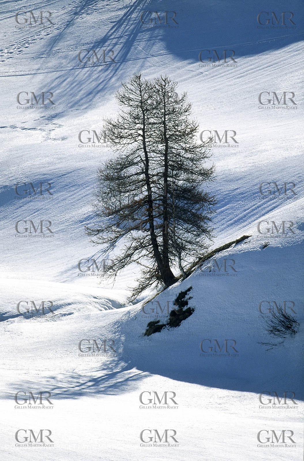 France - Southern Alps - Lautaret pass