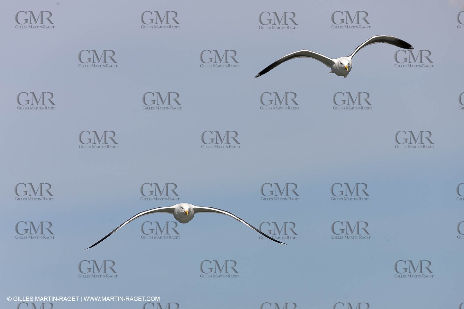 20 02 2013 - San Francisco (USA) - 34th America's Cup - Red Bull Youth America's Cup - Selection Series, session 2, Sailing Day 1