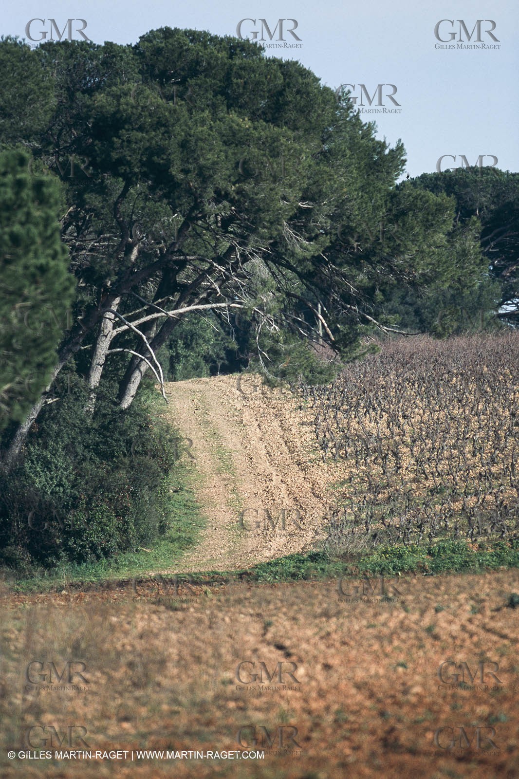 Nîmes Métropole landscapes (FRA,30) - Vaunage