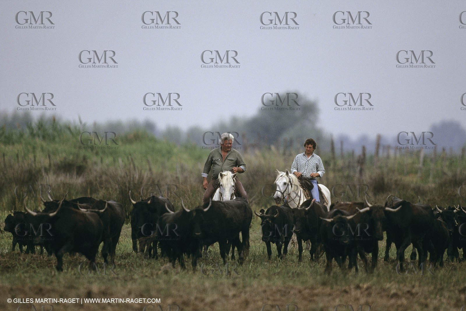 France, Provence, Gardians de Camargue