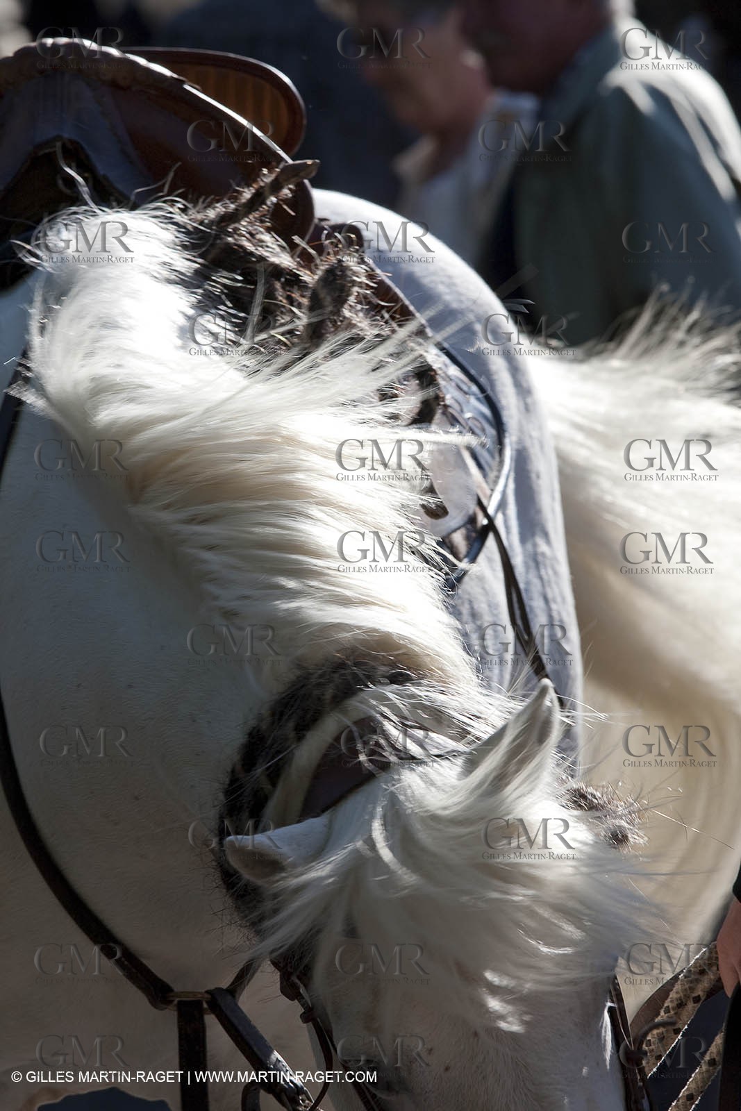 01 05 2009 - Arles (FRA, 13) - Gardians annual fest