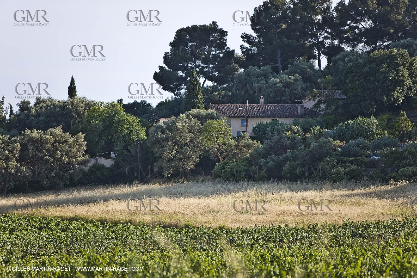 26 06 09 - Sanary sur mer (FRA,83)