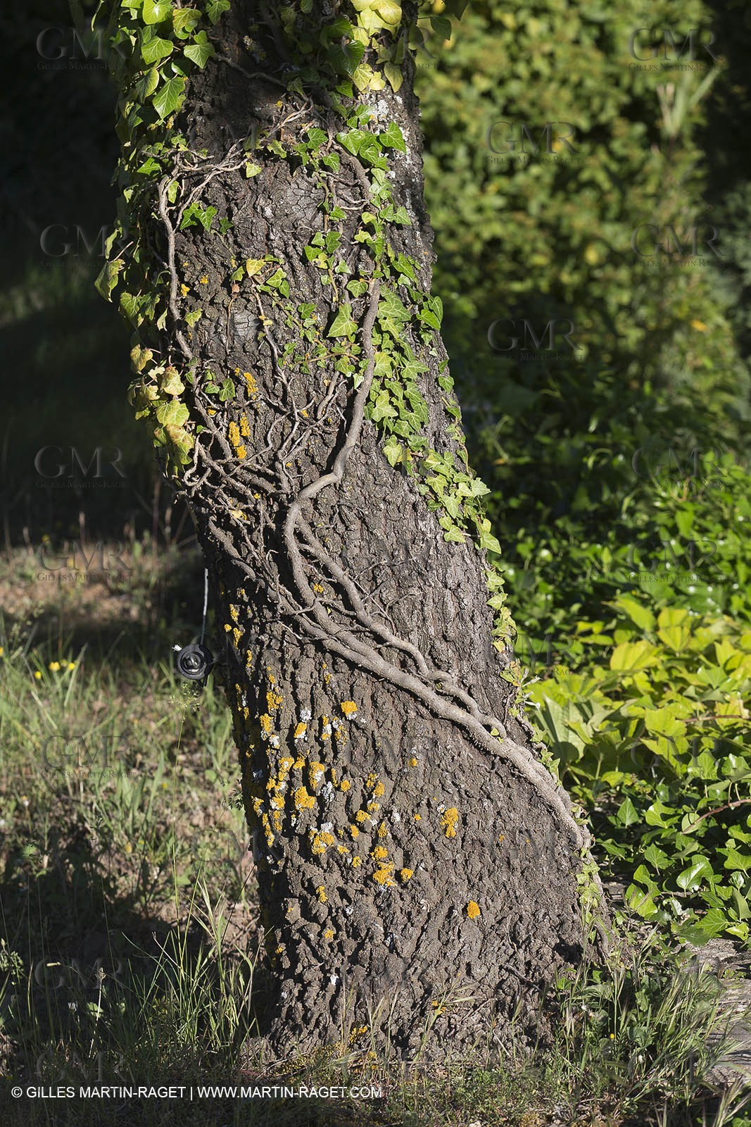 Domaine de la Baume - Tourtour (FRA,83) - 15 05 2014