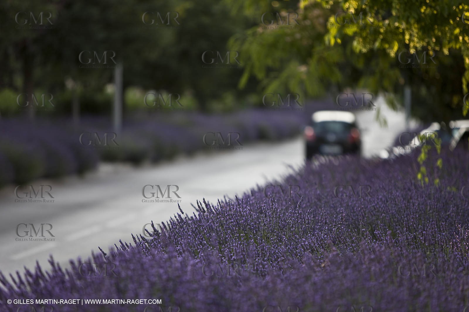 26 06 09 - Sanary sur mer (FRA,83)