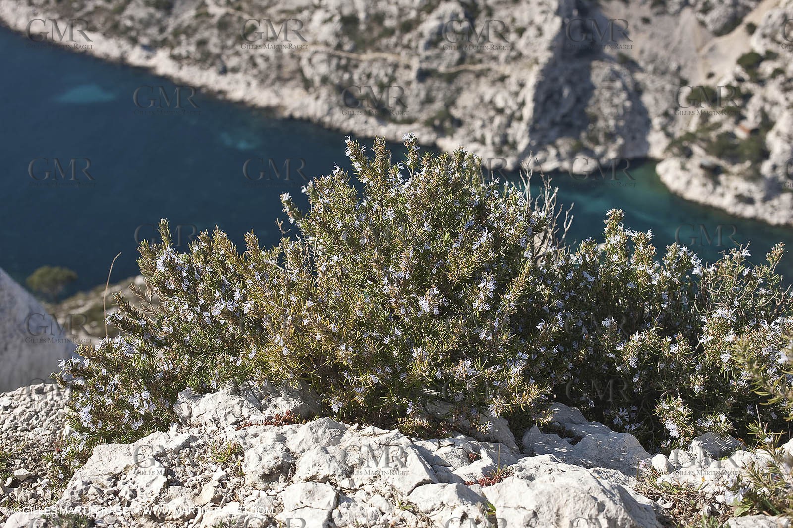 11 03 2009 - Marseille (FRA, 13) - Les Calanques- Calanque de Morgiou as seen from Crêt St Michel belvedere